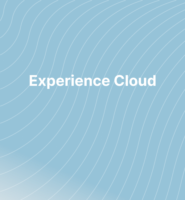 Experience Cloud Development